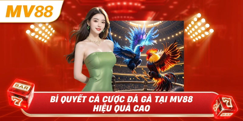 Bí quyết cá cược đá gà tại MV88 hiệu quả cao