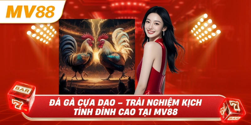 Đá gà cựa dao trải nghiệm kịch tính đỉnh cao tại mv88