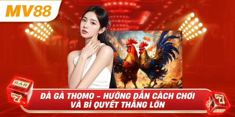 Đá gà thomo hướng dẫn cách chơi và bí quyết thắng lớn