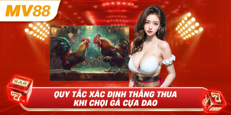 Quy tắc xác định thắng thua khi chọi gà cựa dao