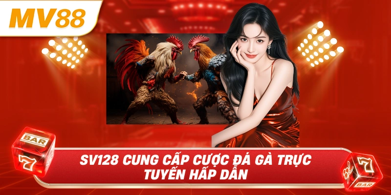SV128 cung cấp cược đá gà trực tuyến hấp dẫn