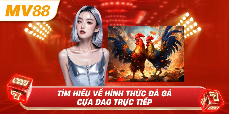 Thông tin về hình thức đá gà cựa dao trực tiếp