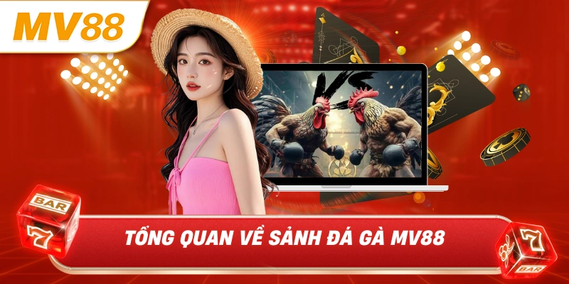 Tổng quan về sảnh đá gà MV88